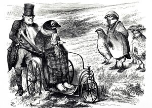 Um desenho animado comentando a suspensão do Grouse Shooting para permitir a reconstituição das ações. Ilustrado por John Tenniel (1820-1914) um ilustrador inglês, humorista gráfico e caricaturista político. de John Tenniel