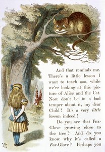 O gato Cheshire de John Tenniel