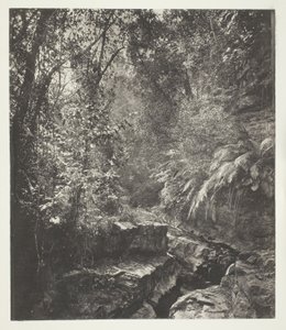 Uma passagem de montanha em Formosa de John Thomson