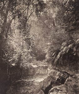 Um desfiladeiro na ilha de Formosa de John Thomson