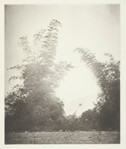 Bambus em Baksa, Formosa de John Thomson