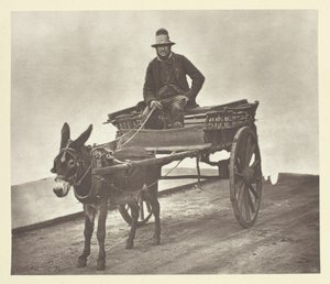 Black Jack, 1881. de John Thomson