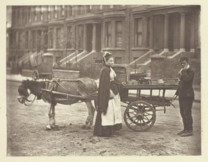 Morangos. Todos maduros! All Ripe!, 1881. de John Thomson