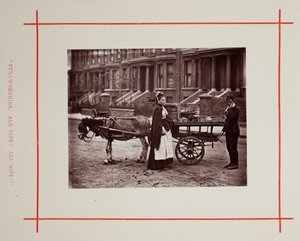 Morangos. Tudo maduro! Tudo maduro!, 1877. de John Thomson