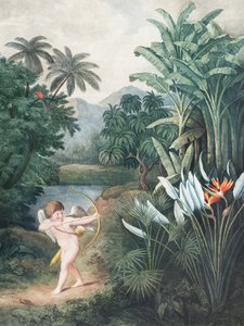 «Cupido a inspirar as plantas com amor», do «Templo de Flora» (1807), de Robert John Thornton de John Thornton