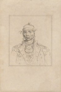 Hopotle Mico de John Trumbull