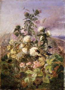 Um Goldfinch e uma Borboleta entre o Carvalho e a Flor de Amora Negra
