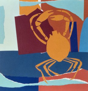 Aranha do mar de John Wallington