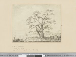 F.44 Vista da beira-mar, árvore grande no centro, c.1783-84 de John Webber