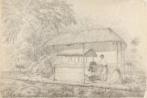 Waheiadooa, Chefe de Oheitepha, Deitado no Estado de John Webber