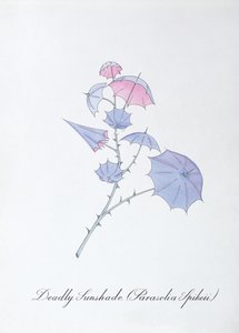 Guarda-sol mortal (Parasolia Spikeii.), ilustração de 
