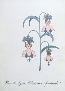 Fleur de Lysia (Parisiana Spectacula.), ilustração de 