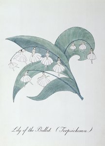 Lírio do Ballet (Terpsichorea.), ilustração de 