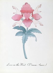 Ilustração de "The Bogus Book of Botany" de John Weir (Donum Amoris.)