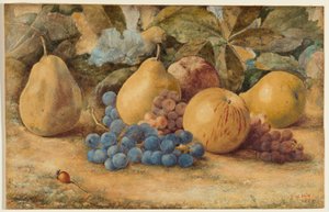Natureza morta de frutas: maçãs, peras e uvas no chão