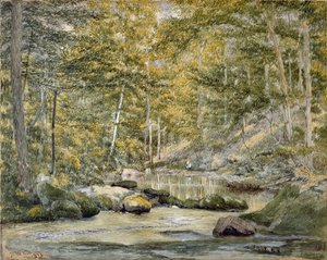 Woodland Pool with Men Fishing, 1870 (wc no papel)