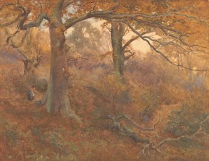 Paisagem da floresta de John William North