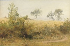 O morcego começa com asa vertiginosa - Campo de cevada sobre a cerca, 1885 (wc & lápis com arranhar no papel)