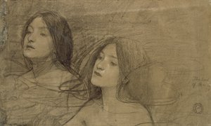 Estudo de duas ninfas para 