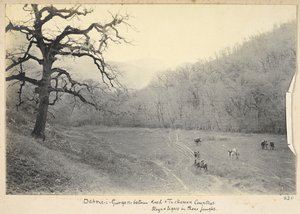 Província de Razavi Khorasan, Irão, c.1908 (foto a p/b)