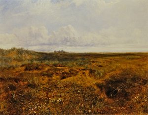The Rabbit Warren, c.1858 (óleo sobre tela)