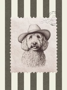 Chapéu de cowboy Goldendoodle