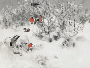 Pintassilgos-vermelhos na neve de Jolly and Dash