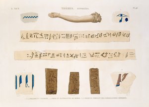 Ilustrações de hieróglifos e o braço de uma múmia de Hypogees, Tebas, placa 48 de Vol. II de `Descrições do Egito`, gravado por Charles, 1822 (aquatint) de Jomard