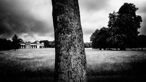 O Goodwood Estate em West Sussex, Reino Unido, 2020 (foto)