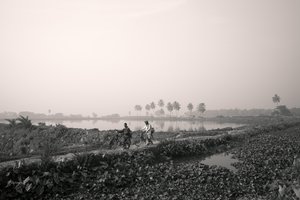 Pesca em zonas húmidas de Calcutá, 2016 (foto)