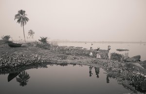 Pesca em zonas húmidas de Calcutá, 2016 (foto)