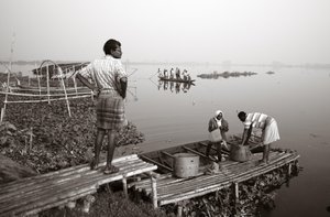 Pesca em zonas húmidas de Calcutá, 2016 (foto)