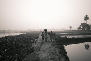 Pesca em zonas húmidas de Calcutá, 2016 (foto)