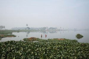 Pesca em zonas húmidas de Calcutá, 2016 (foto) de Jon Nicholson