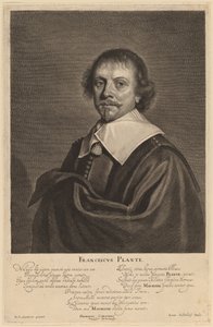 Francisco Plante de Jonas Suyderhoff after Pieter Dircksz Santvoort