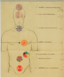 Os sete chakras