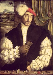 Retrato de um homem, 1533 de Jorg I Breu