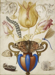 Arranjo de Flores em um vaso, com insetos, 1594 (Aguarela com ouro em velino) de Joris Hoefnagel