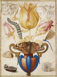 Arranjo de Flores em Vaso, com Insectos, 1594 de Joris Hoefnagel