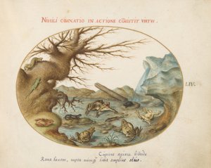 Ilustração 54: Sapos em uma Paisagem de Joris Hoefnagel