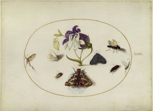  de Joris Hoefnagel