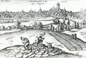 Pedreira de ardósia em Angers, 1561 de Joris Hoefnagel