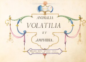 Folha de rosto de Joris Hoefnagel