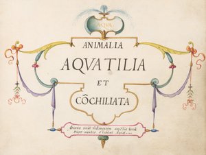 Folha de rosto de Joris Hoefnagel