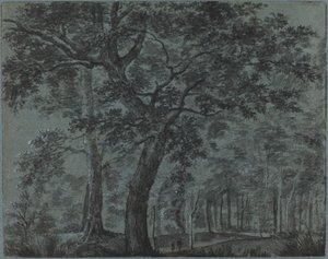 Bosques à noite com viajantes