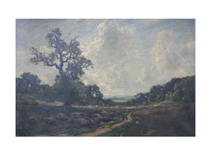 A estrada sobre o comum de Jose Weiss