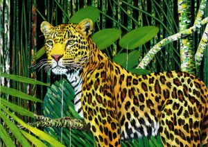 Animais: Leopardo 1