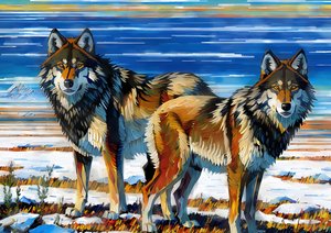 Animais: Lobos 1