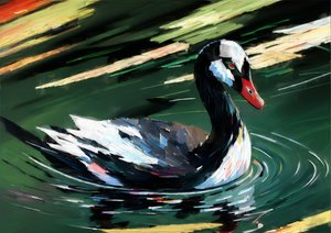 Animais: cisne negro 1