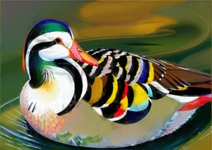 Animais: pato mandarim 3